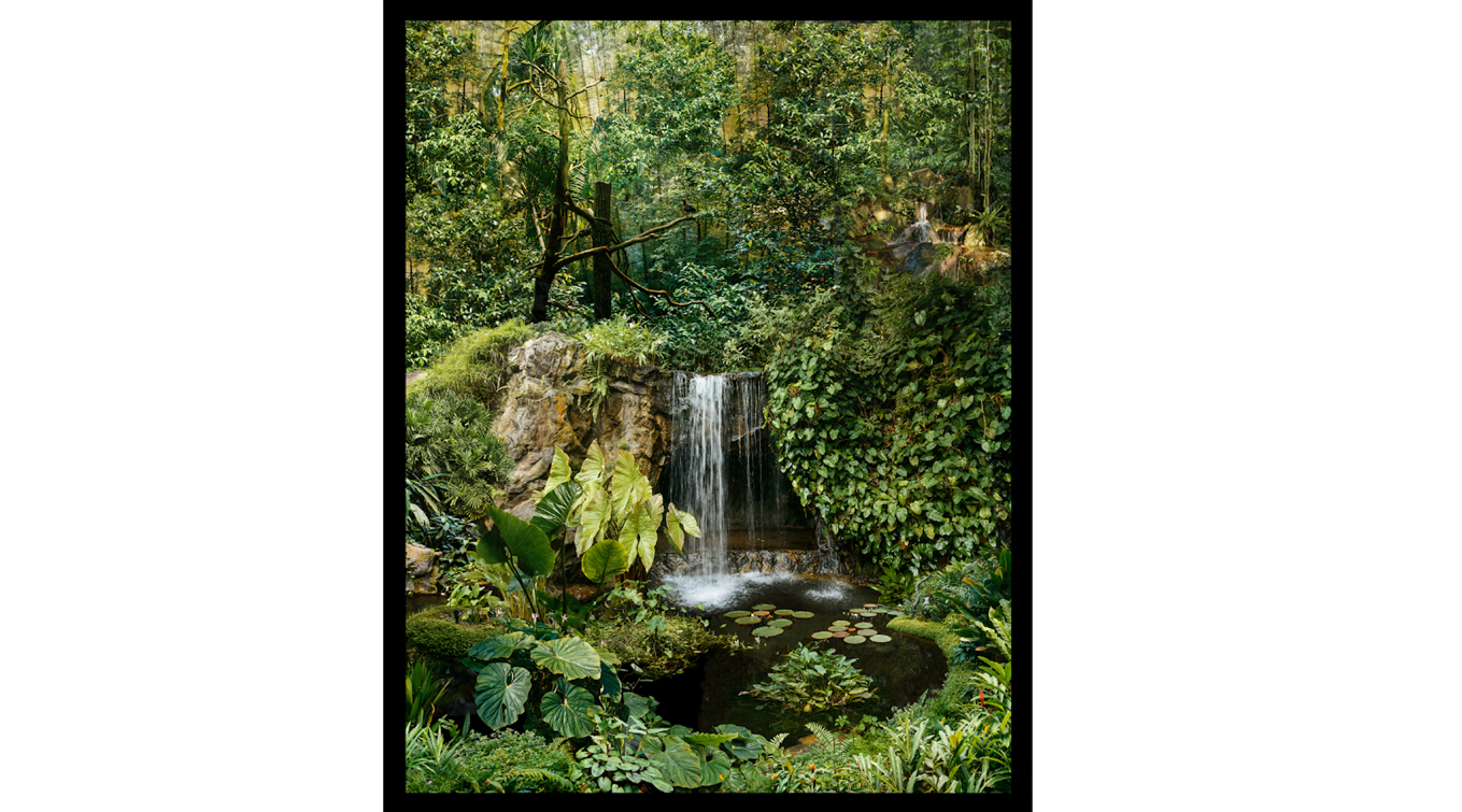 _Blueprints for the Forest_ an exploration into tropical aesthetics by Donna Ong