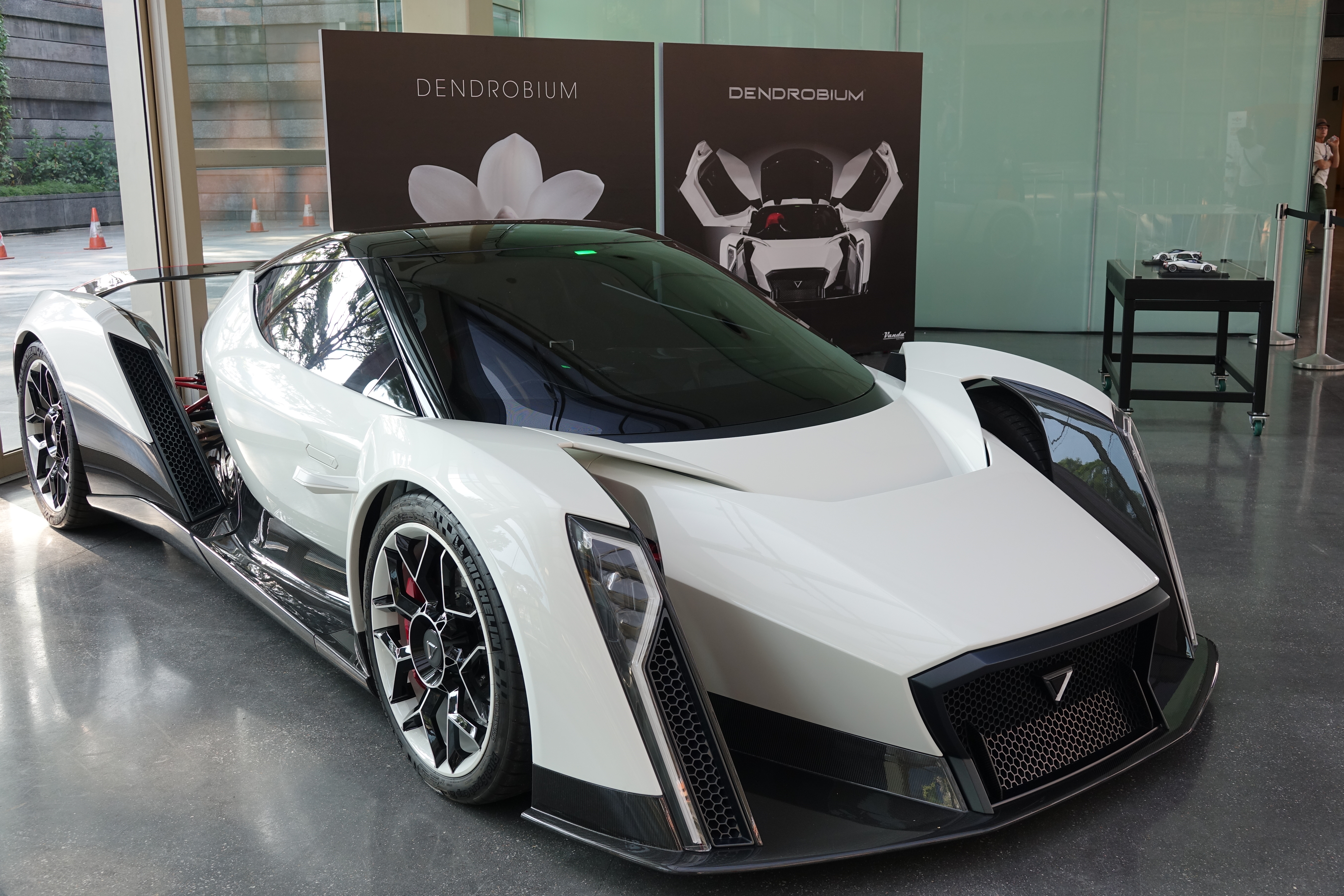 dendrobium