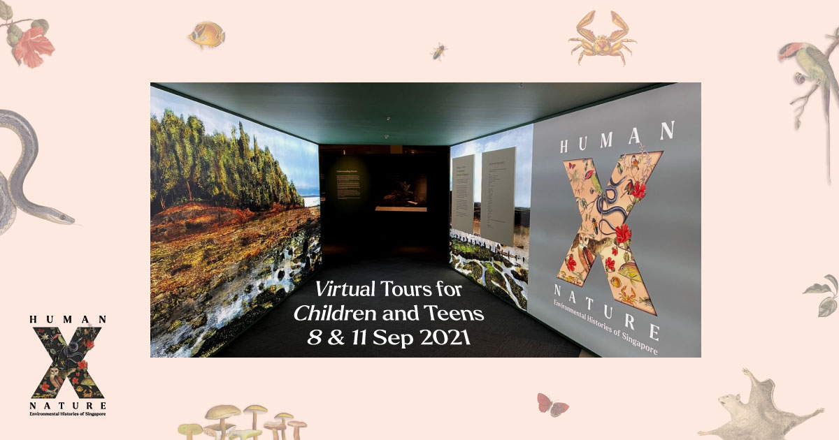 Virtual Tours for Children and Teens