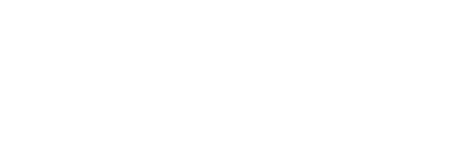 hsgwhitelogo