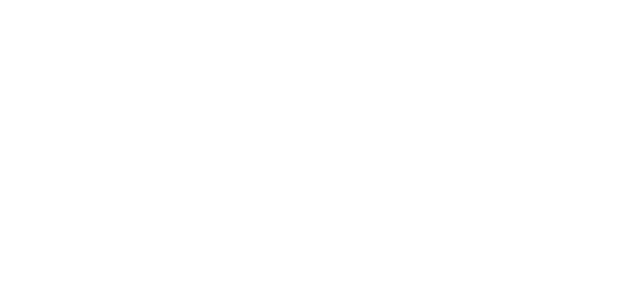 Hsg Festival Archaelogy