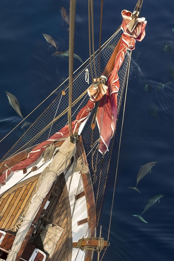 Historic Vessel Vega: A Legacy of Resilience and Hope 