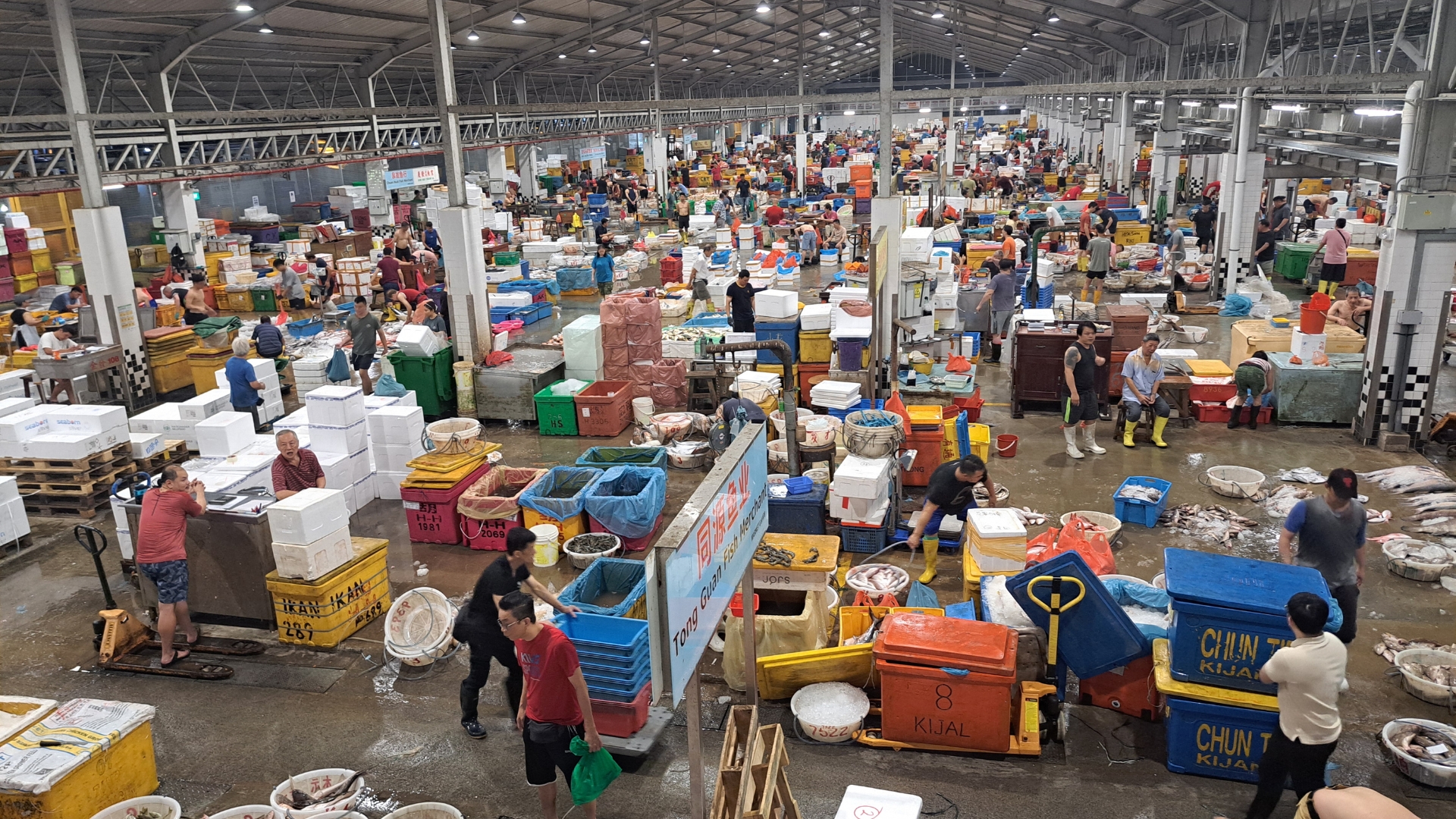 Fish-to-Port-Fishery-Port-Tour