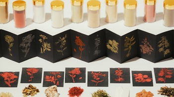 Spice Printing with STPI