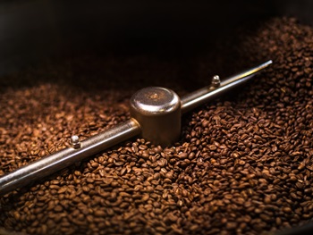 From Commodity to Gourmet – Suzuki Coffee Factory Tour and Siphon Brewing Workshop