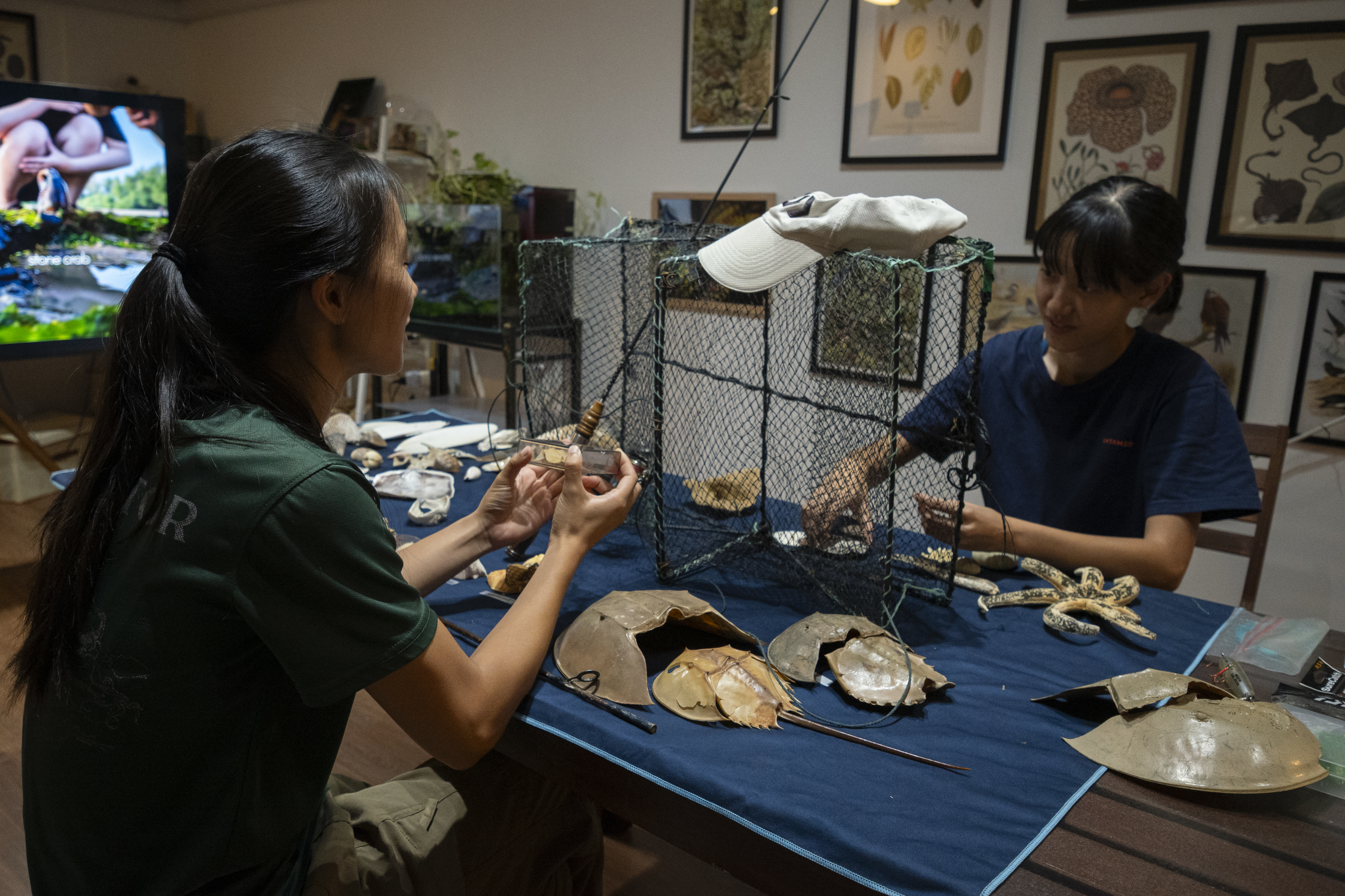 Stories-from-the-Shore-Artefacts-of-Singapores-Coastal-Past