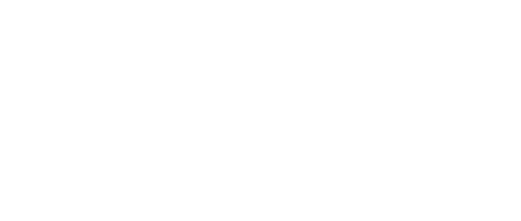 Festival partners and supporters